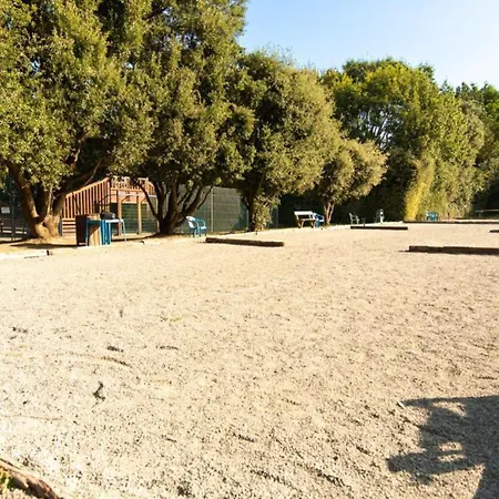 Campsite Confort Avec Terrasse Pour 4 Personnes A - Api-1-52-1098 *